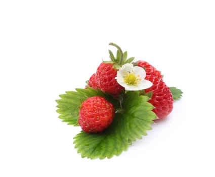 Strawberries (fruit, leafs and flowers) on white background