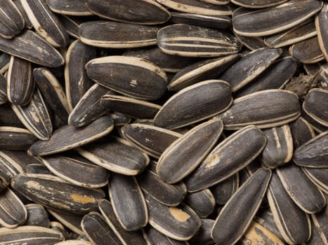 close up of a heap of sunflower seeds