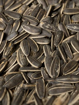 close up of a heap ofd sunflower seeds