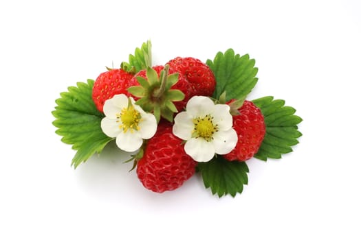 Juicy strawberries on white background