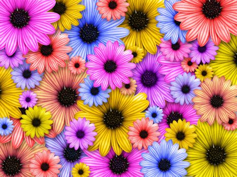 Abstract background made from coloured flowers