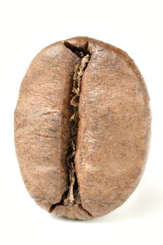 Roasted coffee bean ready for espresso machine