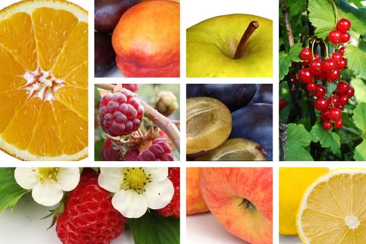 Fruits mosaic - various fruit photos
