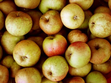 Lot of apples from our garden