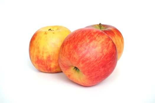 Striped apples on white background