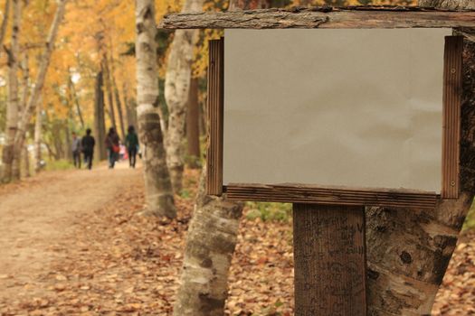 Blank Wooden Frame during autumn in Nami Island Korea