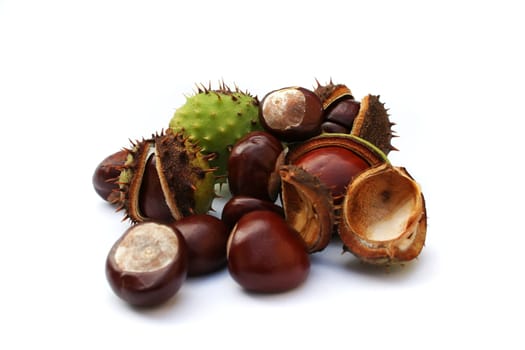 Autumn chestnuts on white background