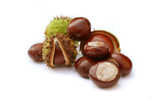 Autumn chestnuts on white background