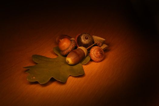 Dark autumn still-life with acorns