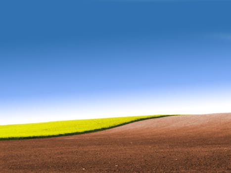 Partly ploughed field with rape and blue sky