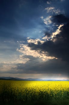 Storm above the rape field with sun behind the clouds