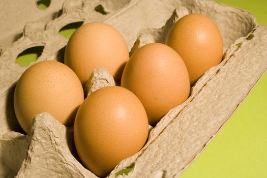 Eggs on fresh green background