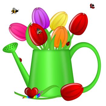 Watering Can with Spring Tulip Flowers Illustration