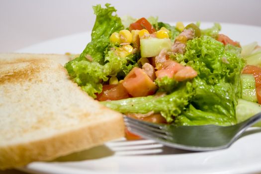 Fresh vegetable salad with toast