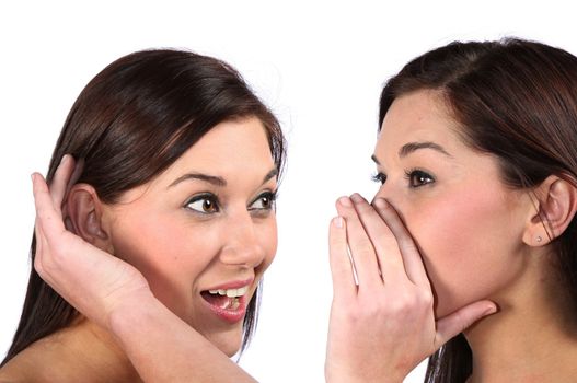 Two lovely brunette woman whispering a secret - isolated on white