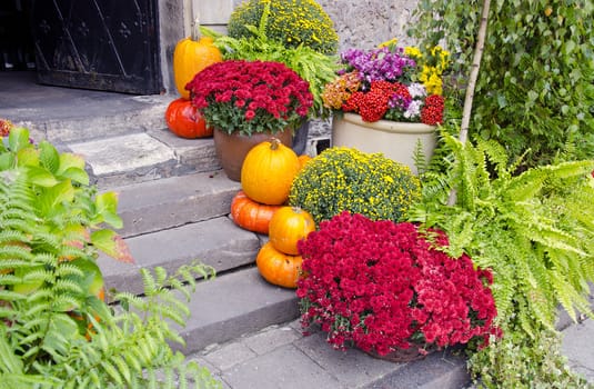 flowers and pumpkins on street stair