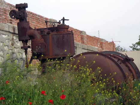 View of a rusted old machine abandoned between the poppies. 