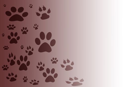 brown and white gradient background with various footprints