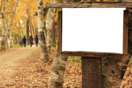 Blank Wooden Frame during autumn in Nami Island Korea