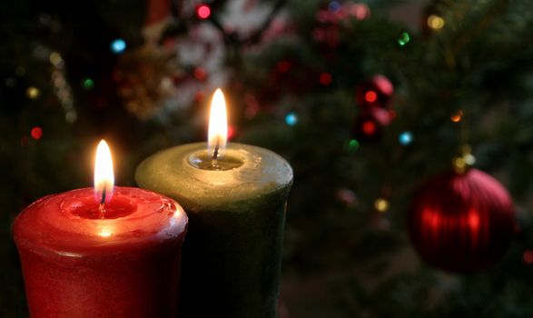 Christmas candles set against a tree.
