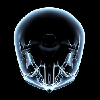 rendered bluish x-ray image of a human skull - top view