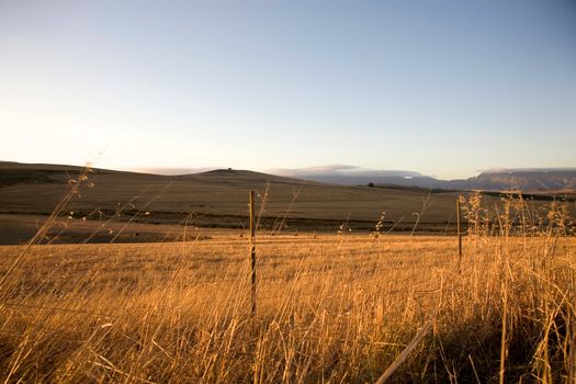 Fields and agriculture on the incredible Garden Road in South Africa