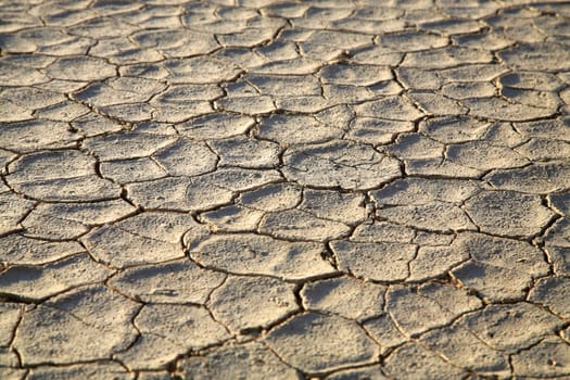 Close-up of pan without water in the Sossusvlei sand dunes in Namibia