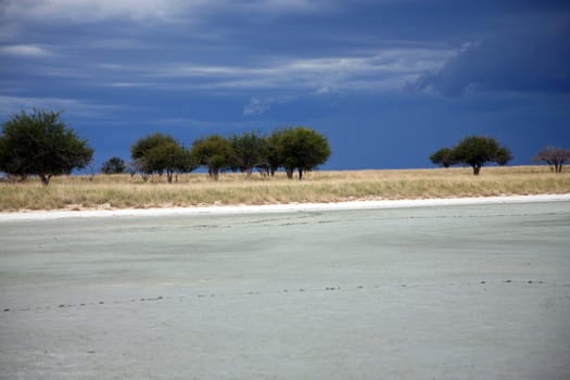 Etosha Park with heavy and rainy sky - National game reserve in Namibia 