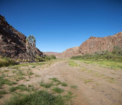 Kaokoland game reserve in Namibia, sand track going toward the Skeleton Coast Desert with a blue sky