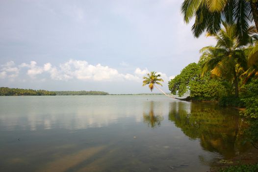 Back Waters in Kerala