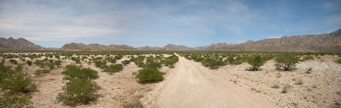 Surreal panorama of the Kaokoland desert in Namibia