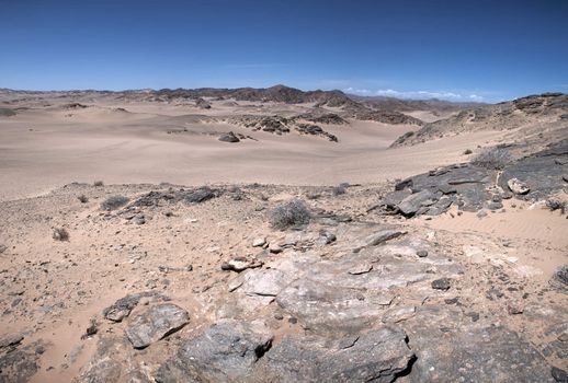 The white sand desert in the Skeleton Coast