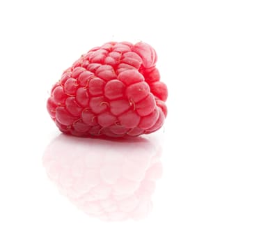 Fresh red raspberry with reflection isolated on white (with empty space)