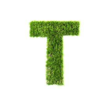 3d grass letter isolated on white background - T