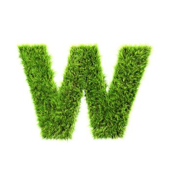 3d grass letter isolated on white background - w