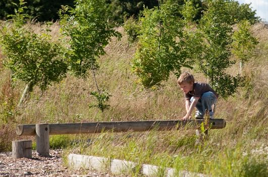 outdoor photo of a preteen boy playing on a wooden playground