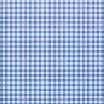 blue checkered rural tablecloth background