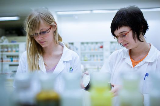 two female researchers in a chemistry lab (color toned image; shallow DOF)