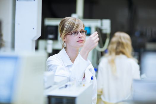 portrait of a female researcher carrying out research in a chemistry lab (color toned image; shallow DOF)