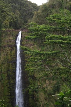 Akaka water fall in Hawaiis National State park