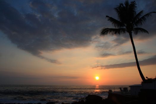 tropical sunset with palm off Hawaiis coast