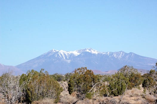 Arizona Desert and Mountains