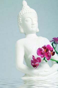 white Buddha on a light blue background with orchids in water
