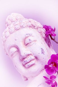 Buddha and orchid - in pink-purple