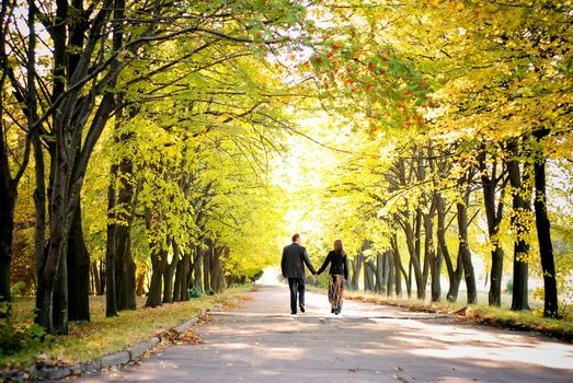 couple walks away down the park alley