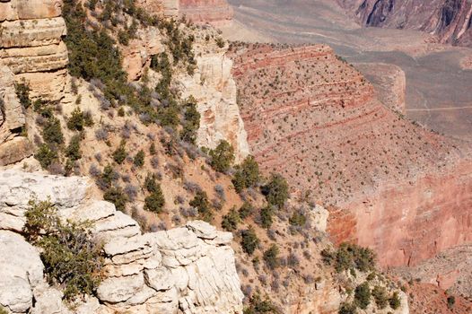 Grand Canyon - Arizona