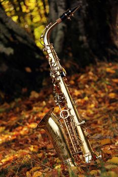 old grungy saxophone in the nature in autumn