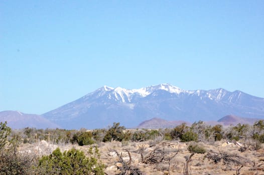 Arizona Desert and Mountains