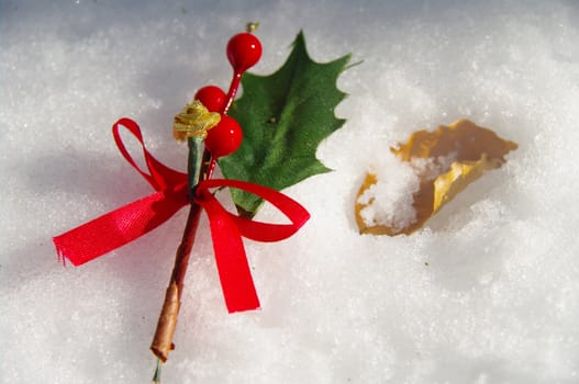 holly berry on a real snowy icy surface