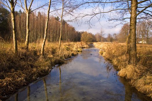 Autumn stream in the village